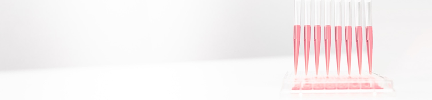 BSL-3 header